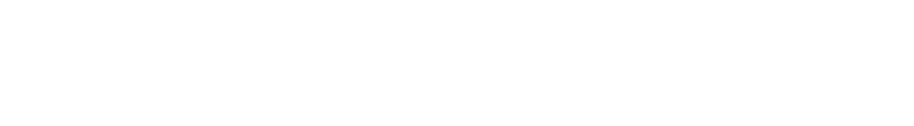Hedge & Sachs — Where Growth Meets Expertise